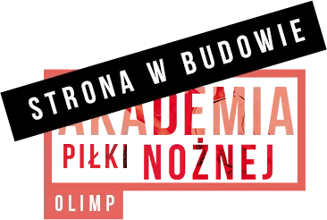 ASP w budowie